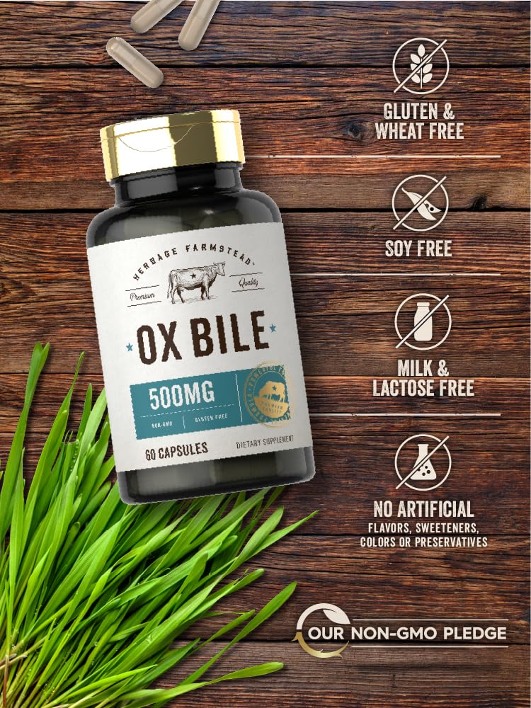 Carlyle Ox Bile Supplement 500 mg | 60 Capsules | Digestive Enzymes | Non-GMO & Gluten Free | by Herbage Farmstead